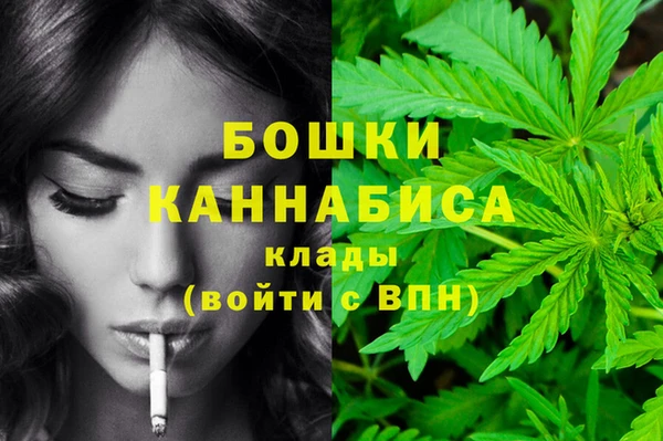 стафф Медвежьегорск