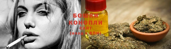стафф Медвежьегорск