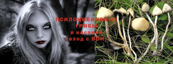 стафф Медвежьегорск