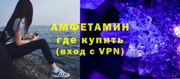 индика Михайловск
