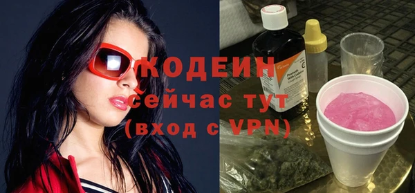 индика Михайловск