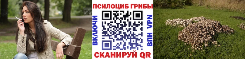 Галлюциногенные грибы MAGIC MUSHROOMS  нарко площадка какой сайт  Топки  наркошоп 