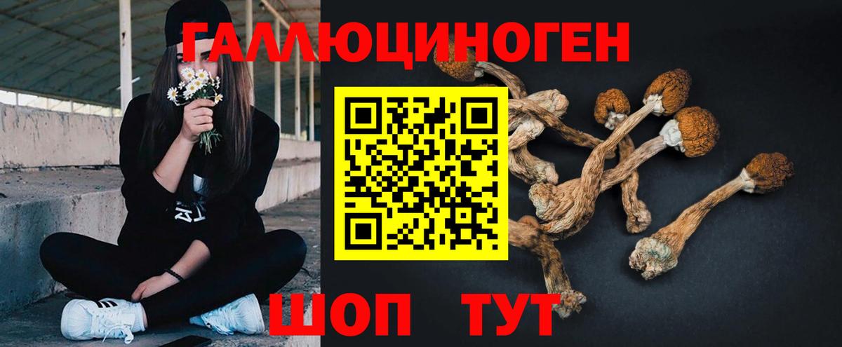 Псилоцибиновые грибы ЛСД Топки