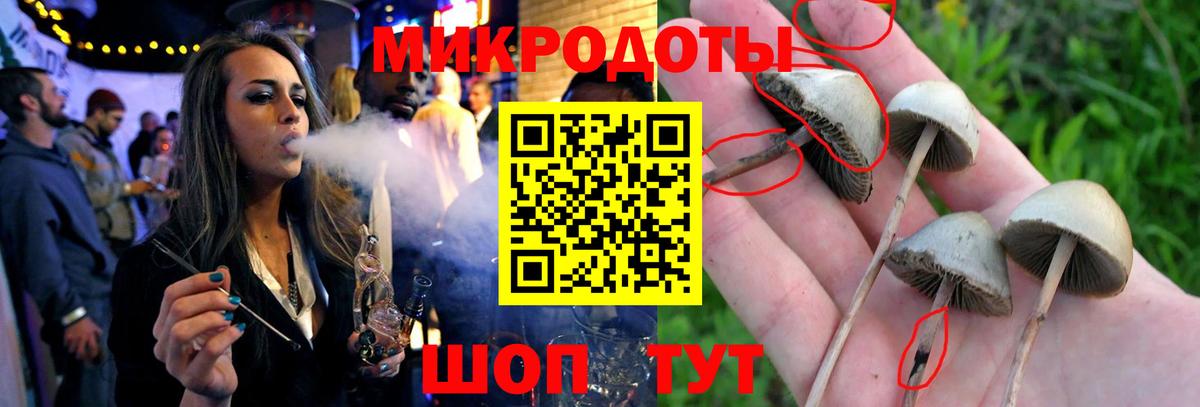 Псилоцибиновые грибы Magic Shrooms  Псилоцибиновые грибы GOLDEN TEACHER  Вход с VPN  Топки 