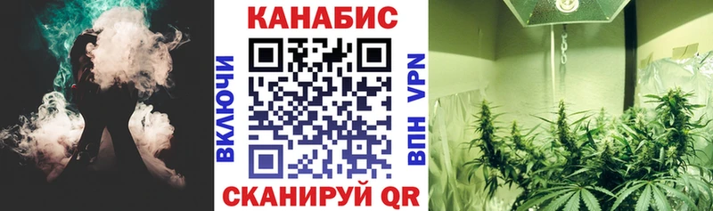 где продают   Топки  Конопля план 